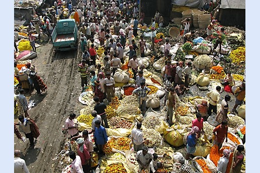 Viaggio in India 2008 - Calcutta